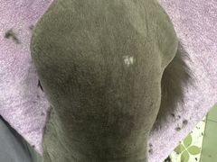 -达爱动物医院·犬猫分区·CT·复杂眼科(远洋山水分院)