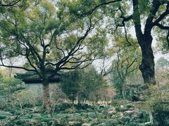 -惠山古镇·寄畅园