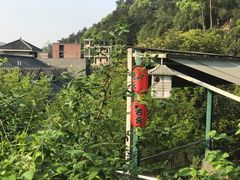 -老幺泉水鸡