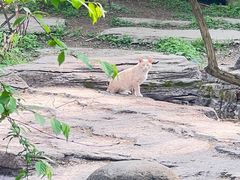 -黑龙江省森林植物园