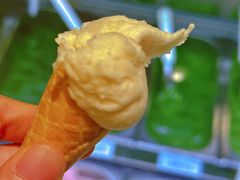 -鹤茶野所(上海首店)