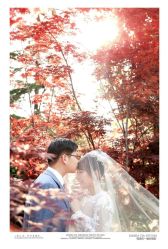 -天一婚纱摄影TIA STUDIO(珠海路店)