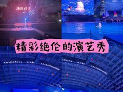 -海合安武汉极地海洋公园