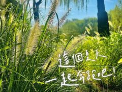 -济南森林公园