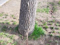 -北京西山国家森林公园