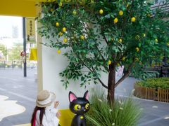 -东莞松山湖万象汇