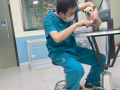 -天宠宠物医院24小时·急重症诊疗中心·全科·腔镜特色(和平分院)