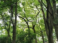 -徐家汇源景区-衡山公园