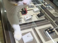 -百金通黄金回收首饰定制维修(珠江路总部)