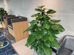 -云川台球(马甸店)