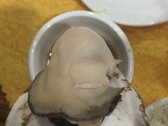 -蚝专家(北滘店)