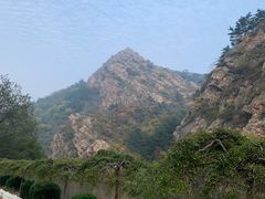 -金龙寺国家森林公园