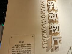 -国家自然博物馆