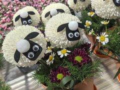 -鹿岛生活(熙地港店)