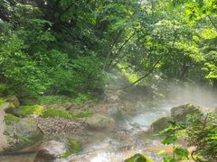 -本溪汤沟绿石谷森林公园