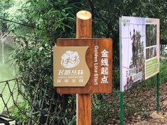 -大雁山风景区