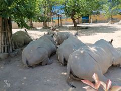 -西安秦岭野生动物园