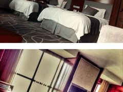 -常州环球恐龙城维景国际大酒店