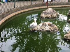 -昆明动物园