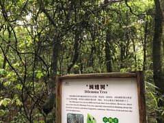 -广州市石门国家森林公园