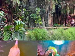 -正佳雨林生态植物园