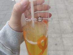 -CoCo都可(中闽嘉禾店)