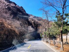 -妙峰山风景名胜区