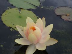 -杭州植物园