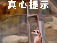 -红山森林动物园