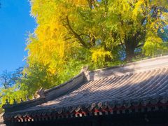 -潭柘寺景区