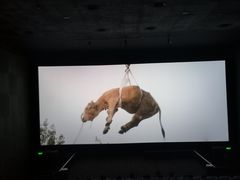 -CGV星星影城(颐堤港ScreenX店)
