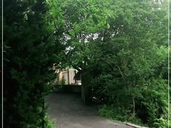 -南山植物园