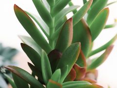 -AHAVA·Fang Baking Studio