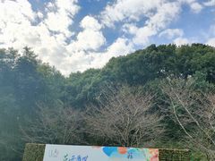 -苏州上方山国家森林公园