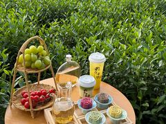 -帐篷客·溪龙茶谷度假酒店