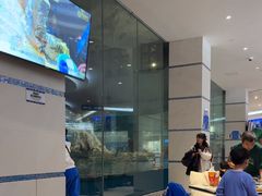 -帝企鹅自助餐厅•儿童岛•真企鹅(长隆企鹅酒店)