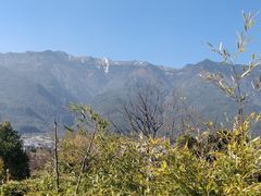 -三塔倒影公园