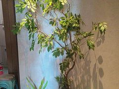 -百富源·海鲜辽菜(张士店)