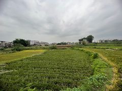 -芭夯兔·无骨兔汤锅(华阳店)