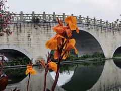-眉山湿地公园(东坡区)