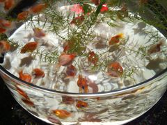 -金泽21世纪美术馆