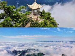 -秦岭天竺山景区
