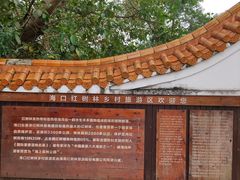 -东寨港红树林旅游区