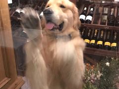 -火车头法国西餐厅