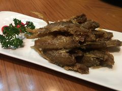 -复旦大学本部-食堂