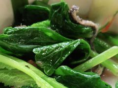 小白菜-茶马古道·野生菌清汤黄牛肉(沙溪店)