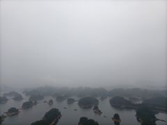 -全乐鱼馆·淳牌有机鱼直营店