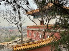 -宫事颐庭·老佛爷贵寿下午茶(颐和园店)