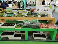 -沈阳国际会展中心管理有限公司