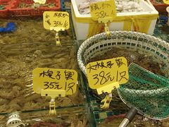 -厦门轮渡码头